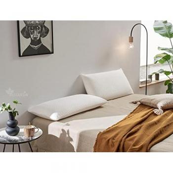Almohada Viscoelástica Efecto Nube con Tejido Bamboo, Alivia Tensiones y Doble Funda 75 cm