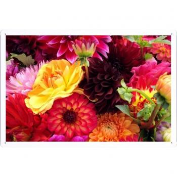 Metal cartel Cartel de chapa Hojalata sesión Flower Tin Sign Dahlias Flowers Buds Different Bright 27801 Retro Vintage Pared Decoración by hamgaacaan