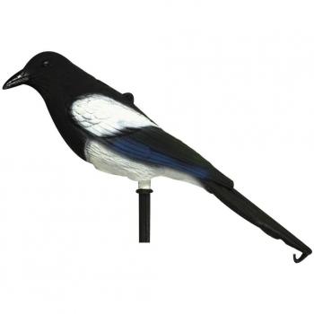 East Anglian - Magpie corvid Decoy