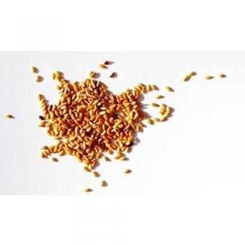 Semillas de Lino Dorado Linaza 1 Kg