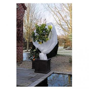 Nature Velo de Hibernación Polar Antiheladas Blanco 30 g/m² 2x5 m Cubierta para Plantas Cultivo Huerto
