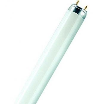 Osram 024366 Bombilla LED G13, Luz día, 10 Unidades