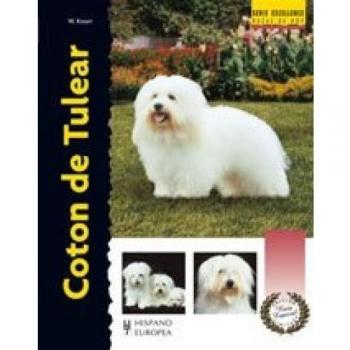 Coton de Tulear