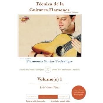 Técnica de la Guitarra Flamenca: Flamenco Guitar Technique