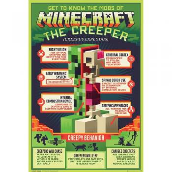 BG Eye póster Minecraft Creepy behaivor