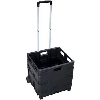 Pavo 8053919 pantalla plegable carrito transportador hasta 20 kg, negro