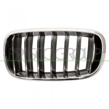 Rejilla delantera PRASCO BM8262004 - Rejilla frontal de automóvil, fabricada por Prasco, diseño específico para ajuste en modelos compatibles, material plástico duradero, acabado en color negro, fácil instalación, compatible con