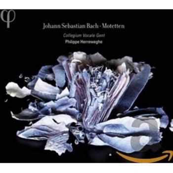 Bach: Motetes / Collegium Vocale Gent - Herreweghe