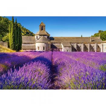 Castorland Lavender Field in Provence Puzzle - 1000 Pieces