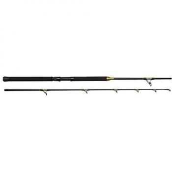 Caña Kinetic Brutalis FS 6'6 P10 30-50lbs/200-600g 2 Tramos