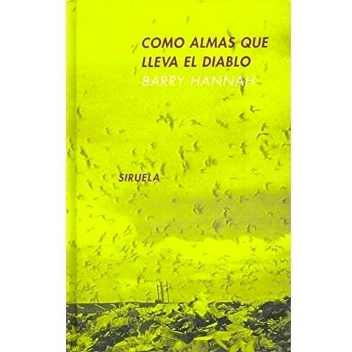 Imagen Principal