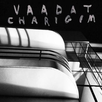 Vinilo Sumerge Como Una Piedra - VAADAT CHARIGIM