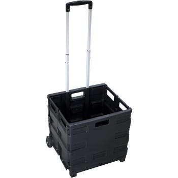 PAVO 8046126 Pantalla Plegable Carrito transportador hasta 35 kg, Negro