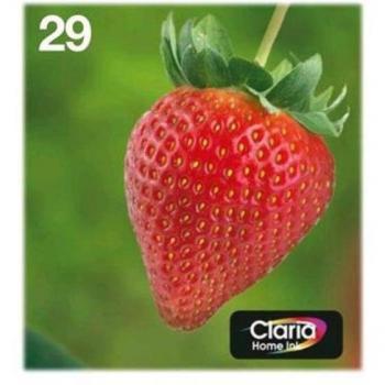 Cartucho de Tinta Original Epson Multipack 4-colours 29 EasyMail
