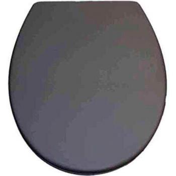 Asiento de inodoro SFA para Sanicompact Pro y 555