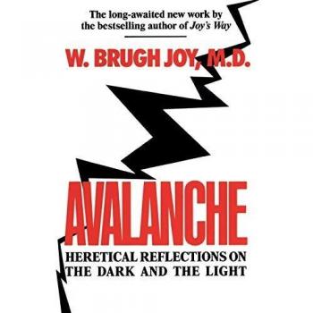 Avalanche: Heretical Reflections on the Dark and Light by W. Brugh Joy - Spiritual Insight Book
