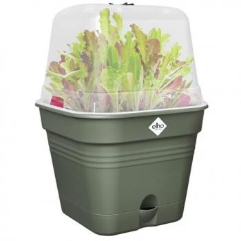 Maceta Cuadrada Elho Green Basics 29,6 x 29,6 x 24,9 cm - Plástico Reciclado - All-in-1 Verde