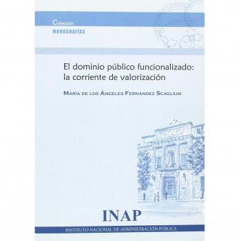 Dominio público funcionalizado: la corriente de valorización