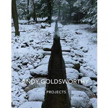 Andy Goldsworthy. Projects