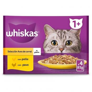 Whiskas 1+ Comida Húmeda para Gatos Adultos Selección de Aves en Gelatina, Multipack 4x85g