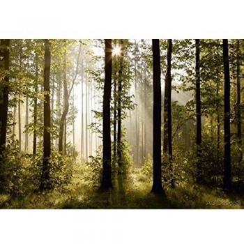 AG Design FTS 0181 Mural Fotográfico para La Pared, Multicolor, 0.1x360x254 cm