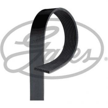 Correa acanalada en V GATES 9PK2870HD, tipo de producto: correa V-ribbed, longitud: 2870 mm, número de ranuras: 9, alta resistencia y durabilidad