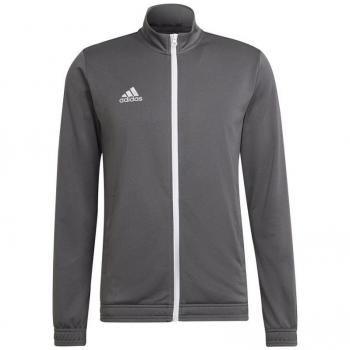 Chaqueta Entrada 22 Gris Adidas para Hombre