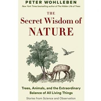 The Secret Wisdom of Nature: Trees, Animals, and the Extraordinary Balance of All Living Things – Stories from Science and Observation by Peter Wohlleben (Hardcover)
