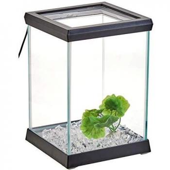 Ocean Free AT619A Kit Betta Space Led, Negro