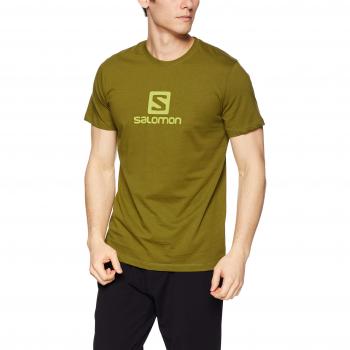 Salomon Coton Logo SS tee Camiseta, Hombre, Verde