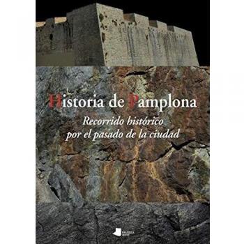 Historia de Pamplona: Recorrido histórico por el pasado de la ciudad: 221