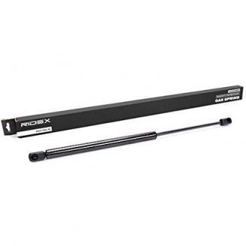 Amortiguador de maletero RIDEX 219G0085 para FIAT PUNTO (176)