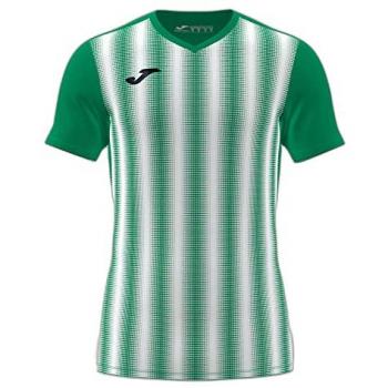Camiseta Manga Corta Hombre Inter II Verde Blanco Joma