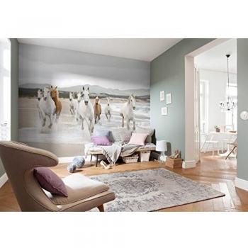 Komar 8z986368x 254cmcaballos blanco papel pintado de color blancoblanco 8unidades