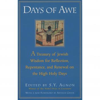 Days of Awe: A Treasury of Jewish Wisdom for Reflection, Repentance, and Renewal on the High Holy Days