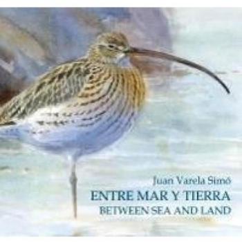 Entre Mar y Tierra / Between Sea and Land: Las Marismas del Sur-The southern marshes
