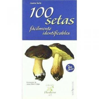 100 Setas Fácilmente Identificables: 2