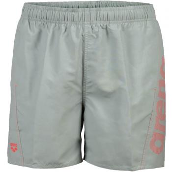 Bañador corto Arena Fundamentals Logo Boxer Hombre Verde
