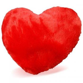 Botella de agua caliente con corazón de peluche, apta para microondas
