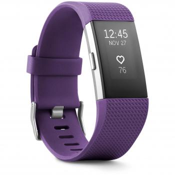 Silicone Replacement Wrist Strap for Fitbit Charge 4/3/2 - Soft Plum Band
