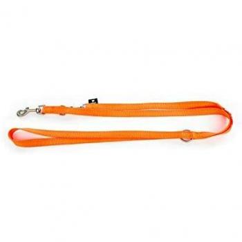 Correa multifuncional de nylon para perro con collar incluido Martin Sellier