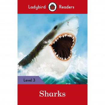 SHARKS (LB)