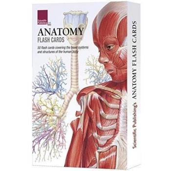 Anatomy Flash Cards