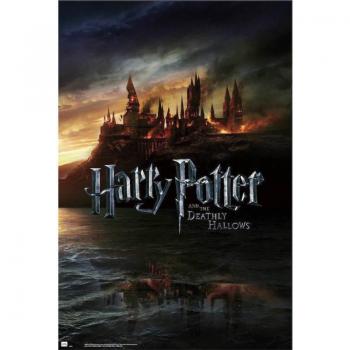 Póster Harry Potter y las Reliquias de la Muerte 91.5 x 61 cm