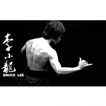 Bruce Lee (38x24 inch, 96x60 cm) Silk Poster Seda Cartel PJ18-673C