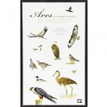 Aves de la España atlántica: Guía de identificación de las especies de Galicia, - Arce Velasco, Luis Mario; Vazquez Fernandez, Victor Manuel