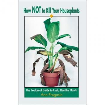 How NOT to Kill Your Houseplants: The Foolproof Guide to Lush, Healthy Plants