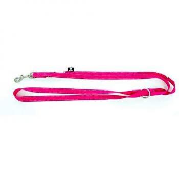 Correa multifuncional de nylon para perro Martin Sellier con collar incluido