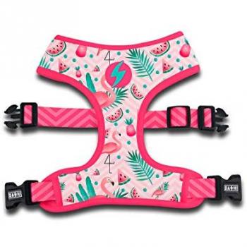 Arnés reversible Flamingo Neo Mesh para perros - Dashi Arnés Flamingo Neo, características: diseño reversible, material mesh transpirable, disponible en varios colores, tamaño pequeño