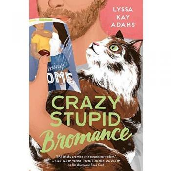 Crazy Stupid Bromance (Bromance Book Club, #3) by Lyssa Kay Adams